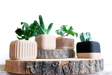 Upload image into Gallery viewer, Set of 4 - CORINTO STOCCOLMA KYOTO PARIS