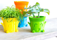 Carica l'immagine nel visualizzatore di Gallery, Mr. POT FELICE