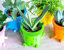 Carica l'immagine nel visualizzatore di Gallery, Mr. POT FELICE