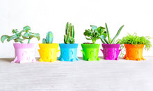 Carica l'immagine nel visualizzatore di Gallery, Mr. POT FELICE