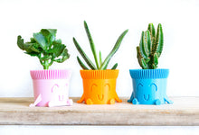 Load image into Gallery viewer, Mr. POT RELAXED