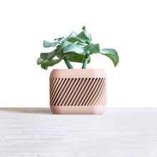 Load image into Gallery viewer, KYOTO