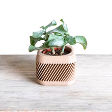 Load image into Gallery viewer, KYOTO