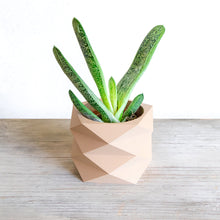 Load image into Gallery viewer, MONACO