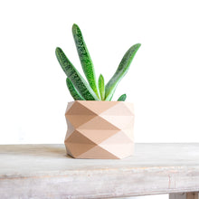 Load image into Gallery viewer, MONACO