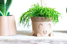 Load image into Gallery viewer, Mr. POT RELAXED