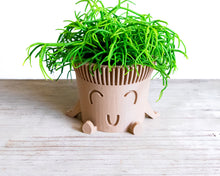 Load image into Gallery viewer, Mr. POT RELAXED