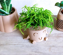 Load image into Gallery viewer, Mr. POT RELAXED