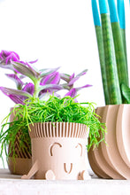 Load image into Gallery viewer, Mr. POT RELAXED