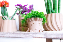 Load image into Gallery viewer, Mr. POT RELAXED