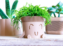 Load image into Gallery viewer, Mr. POT RELAXED