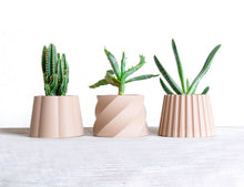 Load image into Gallery viewer, Set of 3 - DAVAO NAIROBI MALAGA