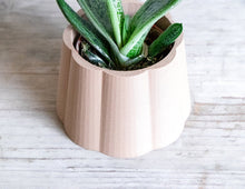 Load the image into the Gallery viewer, DAVAO