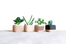 Upload image into Gallery viewer, Set of 4 - CORINTO STOCCOLMA KYOTO PARIS