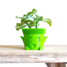 Carica l'immagine nel visualizzatore di Gallery, Mr. POT FELICE