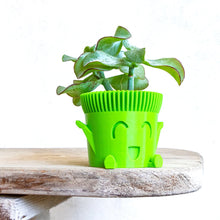 Carica l'immagine nel visualizzatore di Gallery, Mr. POT FELICE