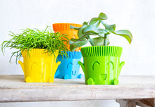 Carica l'immagine nel visualizzatore di Gallery, Mr. POT FELICE