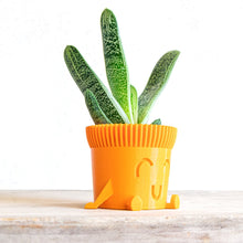 Load image into Gallery viewer, Mr. POT RELAXED