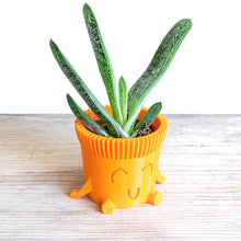 Load image into Gallery viewer, Mr. POT RELAXED