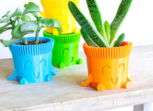 Load image into Gallery viewer, Mr. POT RELAXED