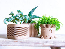 Load image into Gallery viewer, KYOTO