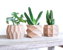 Load image into Gallery viewer, MONACO