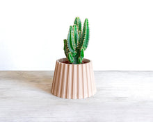 Load image into Gallery viewer, MALAGA