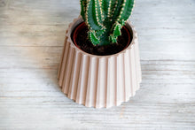 Load image into Gallery viewer, MALAGA