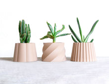 Load image into Gallery viewer, MALAGA