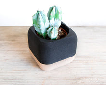 Upload image into Gallery viewer, PARIS