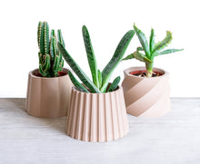 Load image into Gallery viewer, MALAGA