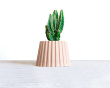 Load image into Gallery viewer, MALAGA