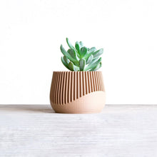 Upload image into Gallery viewer, SAMANA'