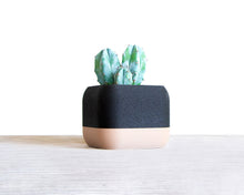 Upload image into Gallery viewer, PARIS