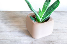 Load image into Gallery viewer, STOCKHOLM