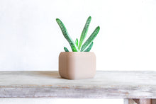 Load image into Gallery viewer, STOCKHOLM