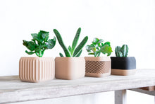 Load image into Gallery viewer, STOCKHOLM