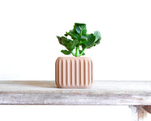 Load image into Gallery viewer, CORINTO