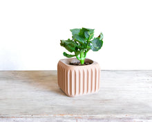 Load image into Gallery viewer, CORINTO