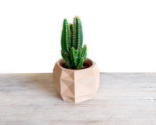 Upload image into Gallery viewer, BARCELONA