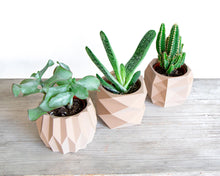 Upload image into Gallery viewer, BARCELONA