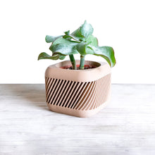 Load image into Gallery viewer, KYOTO