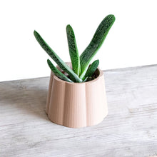 Load the image into the Gallery viewer, DAVAO