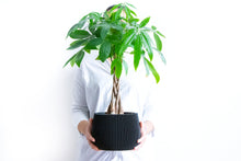 Load image into Gallery viewer, LONDON LARGE