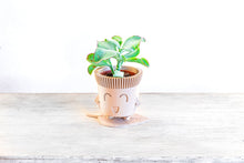 Upload image into Gallery viewer, Mr. SUPER HAPPY POT