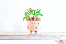 Upload image into Gallery viewer, Mr. SUPER HAPPY POT