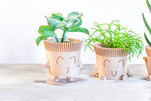 Upload image into Gallery viewer, Mr. SUPER HAPPY POT
