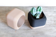 Load image into Gallery viewer, STOCKHOLM