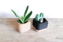 Load image into Gallery viewer, STOCKHOLM