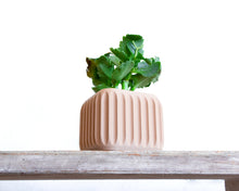 Load image into Gallery viewer, CORINTO